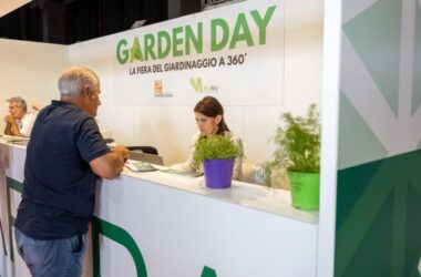 IMG_3762-2