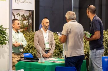 IMG_3967-1